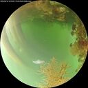 ./images/calvert/underwater/20260816/underwater20260816_155502M.jpg