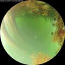 ./images/calvert/underwater/20260816/underwater20260816_160501M.jpg