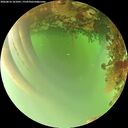 ./images/calvert/underwater/20260816/underwater20260816_161001M.jpg