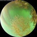 ./images/calvert/underwater/20260816/underwater20260816_163501M.jpg