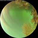 ./images/calvert/underwater/20260816/underwater20260816_164001M.jpg