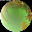 ./images/calvert/underwater/20260816/underwater20260816_164501M.jpg