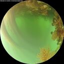 ./images/calvert/underwater/20260816/underwater20260816_165001M.jpg