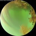 ./images/calvert/underwater/20260816/underwater20260816_170002M.jpg