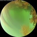 ./images/calvert/underwater/20260816/underwater20260816_170501M.jpg