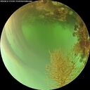 ./images/calvert/underwater/20260816/underwater20260816_171502M.jpg
