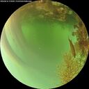 ./images/calvert/underwater/20260816/underwater20260816_172002M.jpg