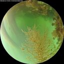 ./images/calvert/underwater/20260816/underwater20260816_172501M.jpg