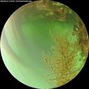 ./images/calvert/underwater/20260816/underwater20260816_173501M.jpg