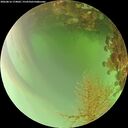 ./images/calvert/underwater/20260816/underwater20260816_174002M.jpg
