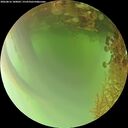 ./images/calvert/underwater/20260816/underwater20260816_180001M.jpg