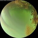 ./images/calvert/underwater/20260816/underwater20260816_182001M.jpg