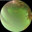 ./images/calvert/underwater/20260816/underwater20260816_184001M.jpg