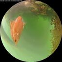 ./images/calvert/underwater/20260816/underwater20260816_184501M.jpg