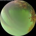 ./images/calvert/underwater/20260816/underwater20260816_185001M.jpg