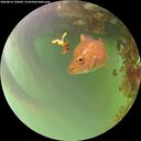 ./images/calvert/underwater/20260816/underwater20260816_190001M.jpg