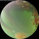 ./images/calvert/underwater/20260816/underwater20260816_192001M.jpg