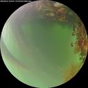 ./images/calvert/underwater/20260816/underwater20260816_192501M.jpg