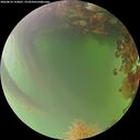 ./images/calvert/underwater/20260816/underwater20260816_193001M.jpg