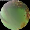 ./images/calvert/underwater/20260816/underwater20260816_194001M.jpg