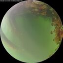 ./images/calvert/underwater/20260816/underwater20260816_194501M.jpg