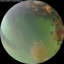 ./images/calvert/underwater/20260816/underwater20260816_200001M.jpg