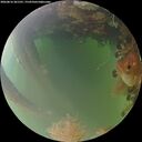 ./images/calvert/underwater/20260816/underwater20260816_201501M.jpg