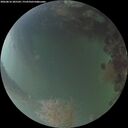 ./images/calvert/underwater/20260816/underwater20260816_205502M.jpg