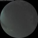 ./images/calvert/underwater/20260816/underwater20260816_211502M.jpg