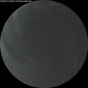./images/calvert/underwater/20260817/underwater20260817_055002M.jpg