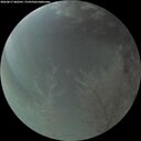 ./images/calvert/underwater/20260817/underwater20260817_060501M.jpg