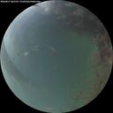 ./images/calvert/underwater/20260817/underwater20260817_061501M.jpg