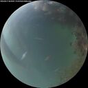 ./images/calvert/underwater/20260817/underwater20260817_062002M.jpg