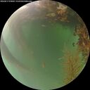 ./images/calvert/underwater/20260817/underwater20260817_070001M.jpg