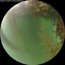 ./images/calvert/underwater/20260817/underwater20260817_073001M.jpg