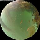 ./images/calvert/underwater/20260817/underwater20260817_073502M.jpg