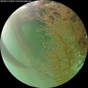 ./images/calvert/underwater/20260817/underwater20260817_074002M.jpg