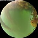./images/calvert/underwater/20260817/underwater20260817_075001M.jpg