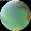 ./images/calvert/underwater/20260817/underwater20260817_081001M.jpg
