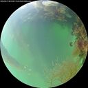 ./images/calvert/underwater/20260817/underwater20260817_081501M.jpg
