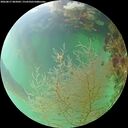 ./images/calvert/underwater/20260817/underwater20260817_082001M.jpg