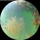 ./images/calvert/underwater/20260817/underwater20260817_082501M.jpg