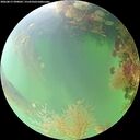 ./images/calvert/underwater/20260817/underwater20260817_090001M.jpg
