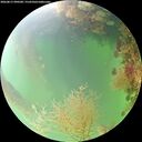 ./images/calvert/underwater/20260817/underwater20260817_090501M.jpg