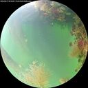 ./images/calvert/underwater/20260817/underwater20260817_091001M.jpg