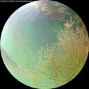 ./images/calvert/underwater/20260817/underwater20260817_092002M.jpg