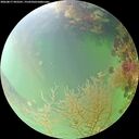 ./images/calvert/underwater/20260817/underwater20260817_092501M.jpg