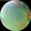 ./images/calvert/underwater/20260817/underwater20260817_093001M.jpg