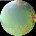 ./images/calvert/underwater/20260817/underwater20260817_093501M.jpg