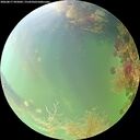 ./images/calvert/underwater/20260817/underwater20260817_095002M.jpg